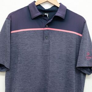 Footjoy FJ Size Large Mens Polo Shirt‎ Blue Pink Space Dye Golf Sterling Grove